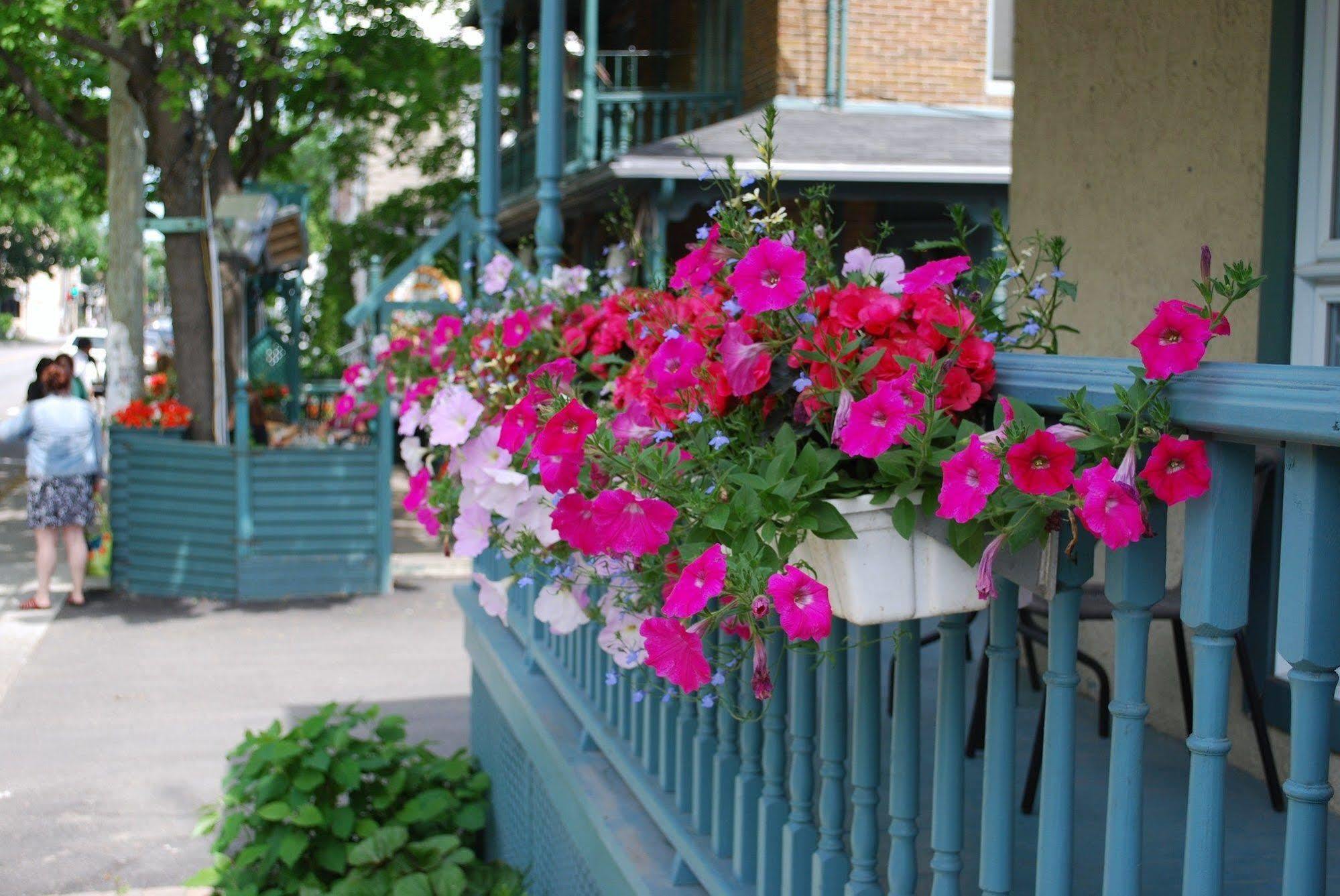 Auberge de l'Evêché Rimouski Esterno foto